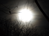 Photo of the moon at night